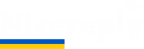 Nicereply logo